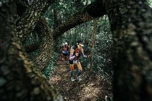 BIB: 
                            <button type="button" onclick="openModal(25392166)" class="btn btn-primary btn-sm float-right btn-popup" data-toggle="modal" data-target=".modal-high-quality">
                        <i class="fas fa-shopping-cart"></i> Add to Cart
                    </button>
                                            <button type="button" onclick="isThisMe(25392166, true)" class="btn btn-success btn-sm float-right btn-popup btn-isme hidden" data-toggle="tooltip" data-placement="bottom" title="นี่คือรูปของคุณใช่ไหม คลิกที่นี่เพื่อเอาเข้าอัลบั้ม">
                        <i class="fas fa-plus"></i> Add to album
                    </button>
                    <button type="button" onclick="isThisMe(25392166, false)" class="btn btn-warning btn-sm float-right btn-popup btn-isnotme hidden">
                        <i class="fas fa-ban"></i> Remove from album
                    </button>